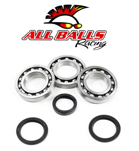 All Balls Racing 25-2076 Differential Bearing Kit #25-2076 1