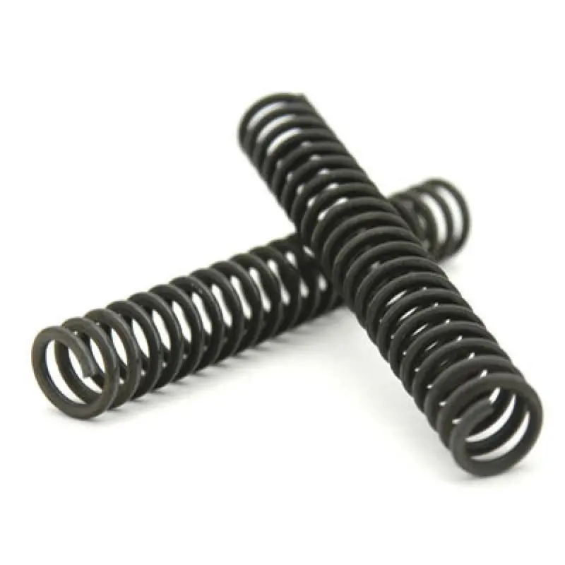 Bbr Front Fork Springs#100698-P 1