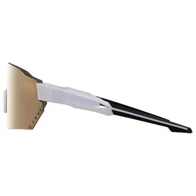 Carve Level Up Sunglasses#213195-P 1