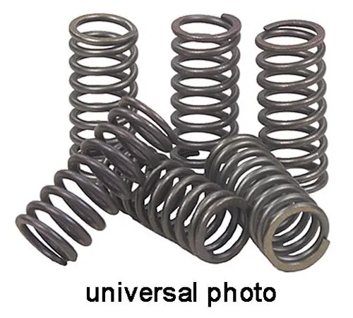 Ebc Csk56 Csk Clutch Spring Kit #Csk56 1