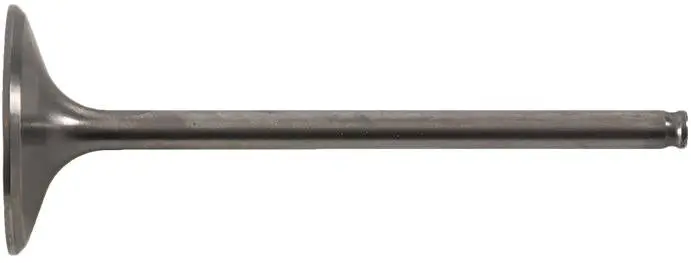Hot Cams 8400001-2 Intake Valve Titanium 1