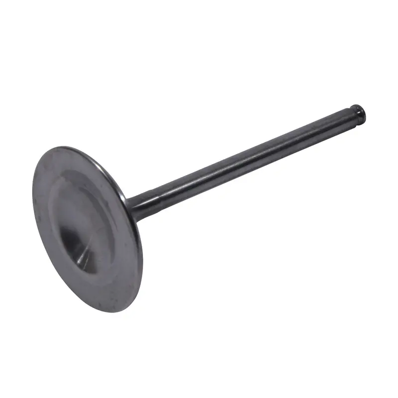 Hot Cams 8400027-2 Intake Valve Titanium 1