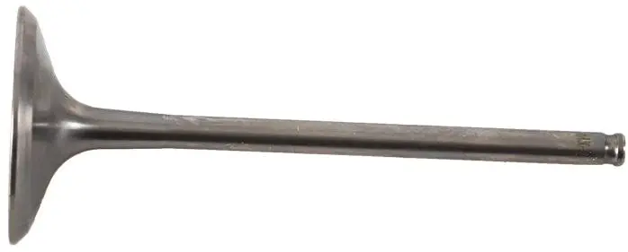 Hot Cams 8400030-2 Intake Valve Titanium 1