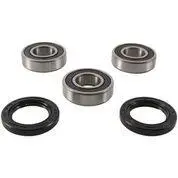 Pivot Works Pwrwk-S09-021 Rear Wheel Bearing Kit 1