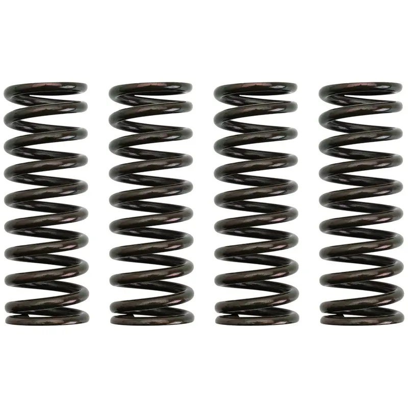 Pro X Clutch Spring Kit #172573-P 1
