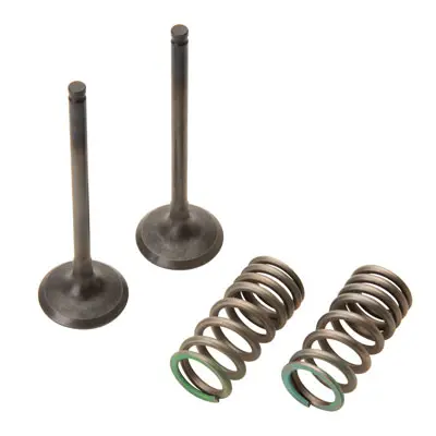 Pro X Steel Exhaust Valve/Spring Kit#127512-P 1