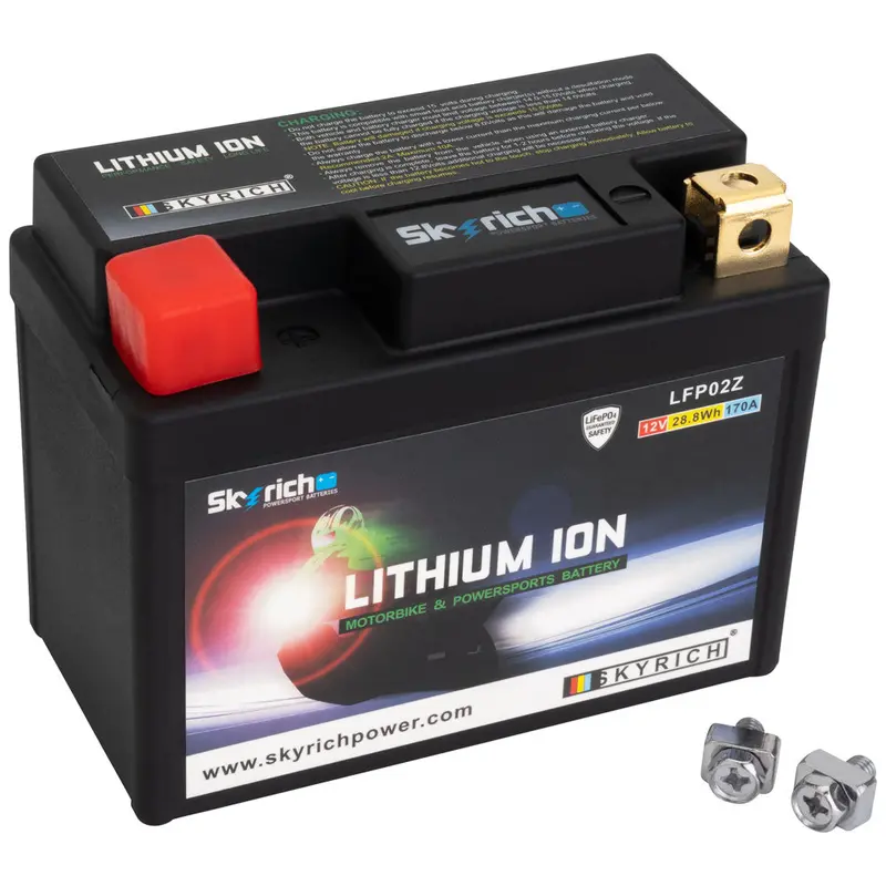 Skyrich Lithium Ion Battery#Lfp02z 1