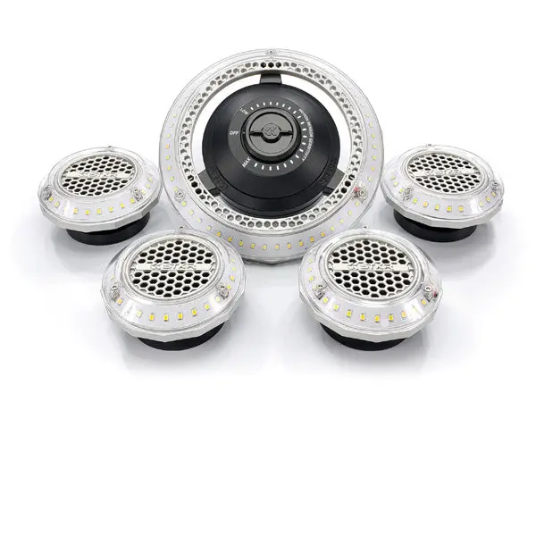 Striker Concepts 194 Motion Activated Lighting System #00194 1
