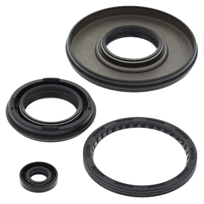 Vertex 55197 Engine Oil Seal Kit 1