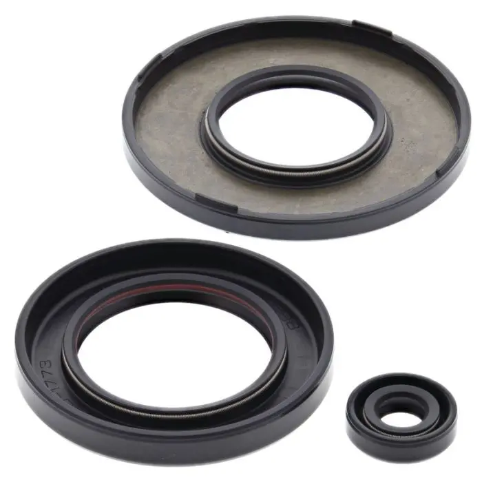 Vertex 55223 Engine Oil Seal Kit 1