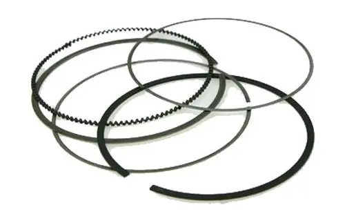 Vertex 590394000001 Piston Rings 93.95Mm For Pistons Only 1