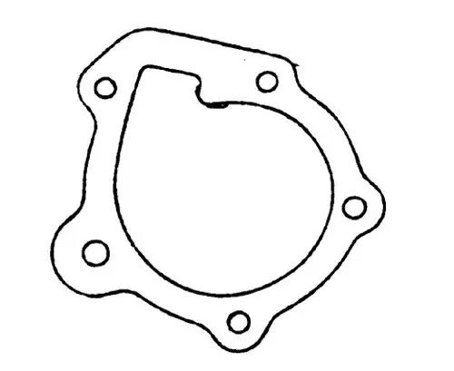 Vertex 717122 Polaris Water Pump Gasket 1