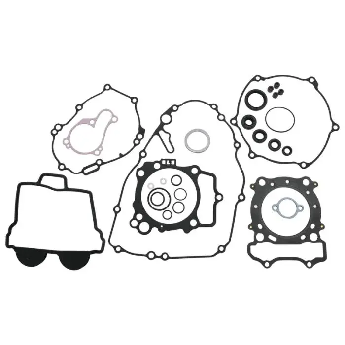Vertex 8110029 Complete Gasket Kit Withoil Seals 1