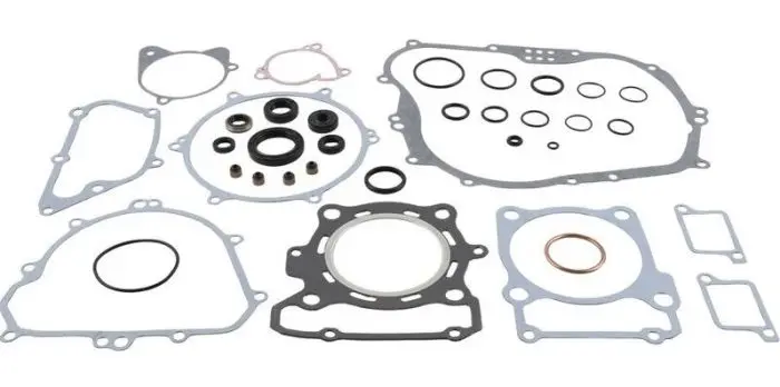 Vertex 8110071 Complete Gasket Kit With Seals 1